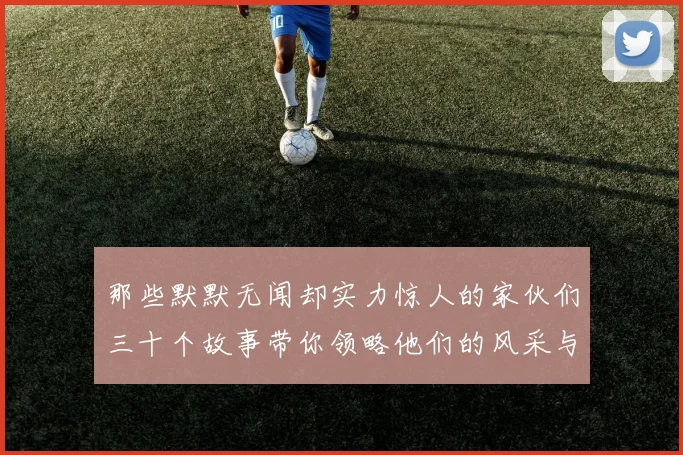那些默默无闻却实力惊人的家伙们三十个故事带你领略他们的风采与传奇